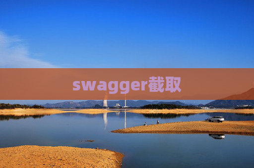 swagger截取